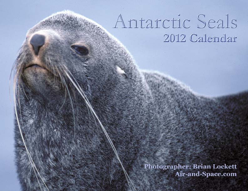 Lockett Books Calendar Catalog: Antarctic Seals